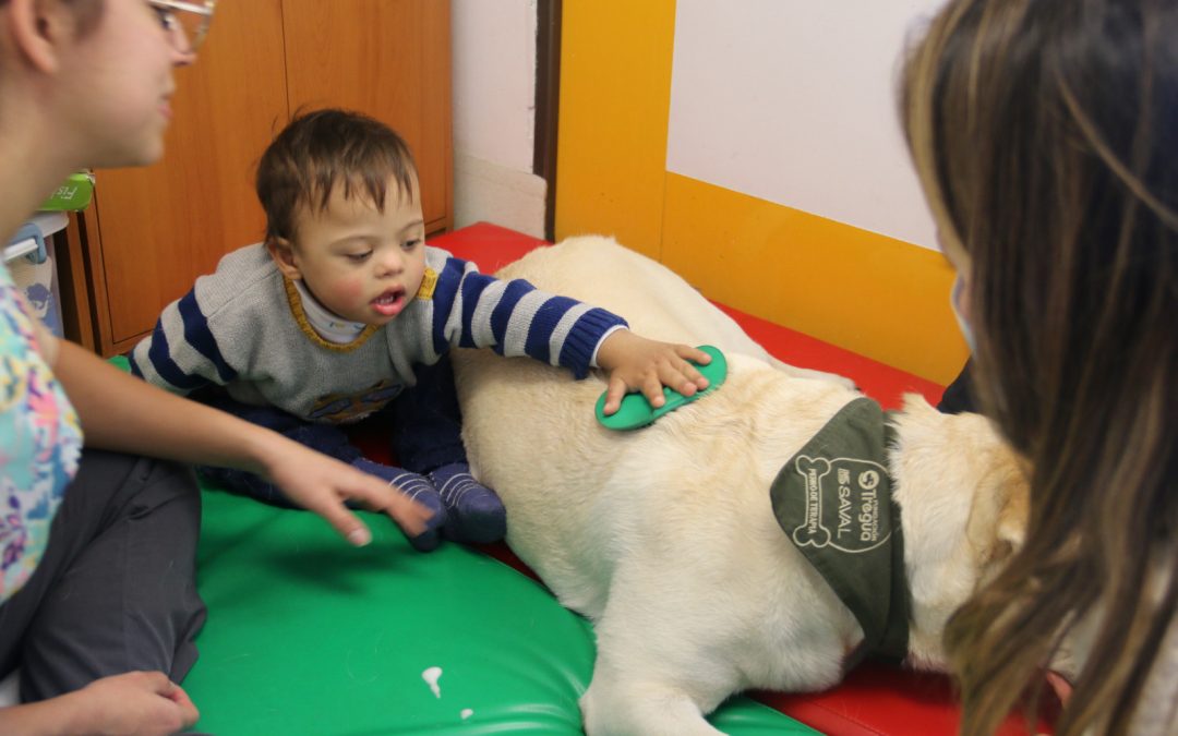 ‘Dogtores’ llegan al Hospital de Niños Dr. Roberto del Río para acompañar terapias de pacientes pediátricos