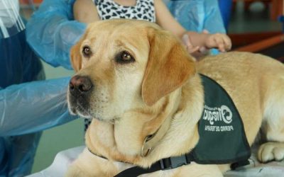 Fundación Tregua comparte experiencia sobre Terapia Asistida por animales a funcionarios del Hospital de Niños Dr. Roberto del Río