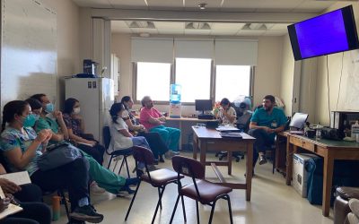 Hospital de Niños Dr. Roberto del Río imparte Taller de Reanimación Básica RCP a sus funcionarios