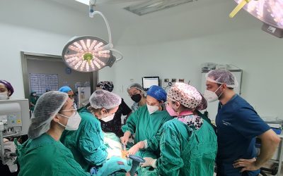 Hospital de Niños Dr. Roberto del Río realiza jornadas quirúrgicas en regiones