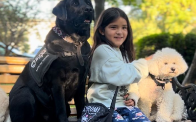 “Dogtores” entregan acompañamiento emocional a niños y niñas del Hospital Dr. Roberto del Río